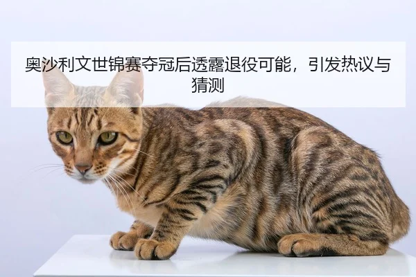 奥沙利文世锦赛夺冠后透露退役可能，引发热议与猜测