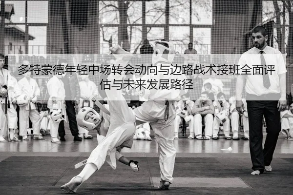 多特蒙德年轻中场转会动向与边路战术接班全面评估与未来发展路径 | leyu